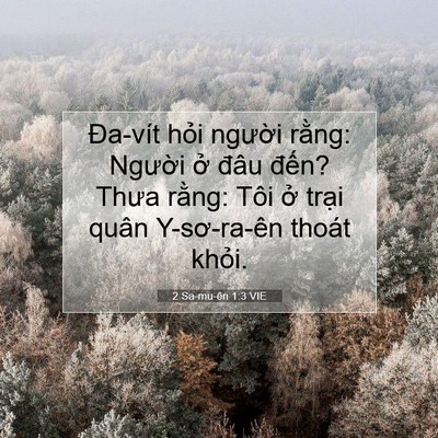 Picture 07 - 2 Sa-mu-ên 1:3 VIE - Đa-vít hỏi người rằng: Người ở - Bible Verse Picture