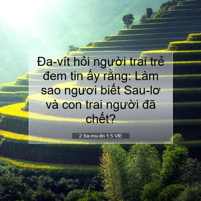 Picture 07 - 2 Sa-mu-ên 1:5 VIE - Đa-vít hỏi người trai trẻ đem tin ấy - Bible Verse Picture