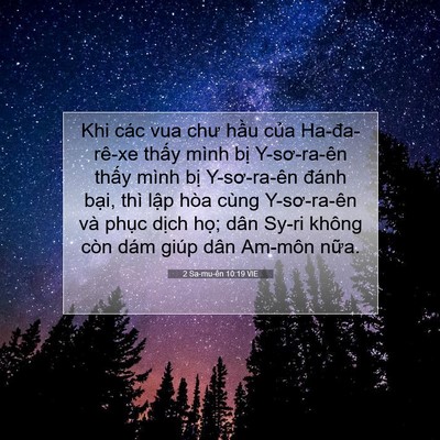 Picture 07 - 2 Sa-mu-ên 10:19 VIE - Khi các vua chư hầu của Ha-đa-rê-xe - Bible Verse Picture
