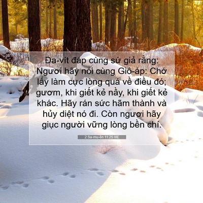 Picture 07 - 2 Sa-mu-ên 11:25 VIE - Đa-vít đáp cùng sứ giả rằng: Ngươi - Bible Verse Picture