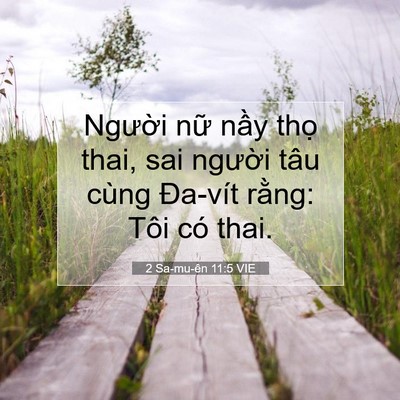 Picture 07 - 2 Sa-mu-ên 11:5 VIE - Người nữ nầy thọ thai, sai người tâu - Bible Verse Picture