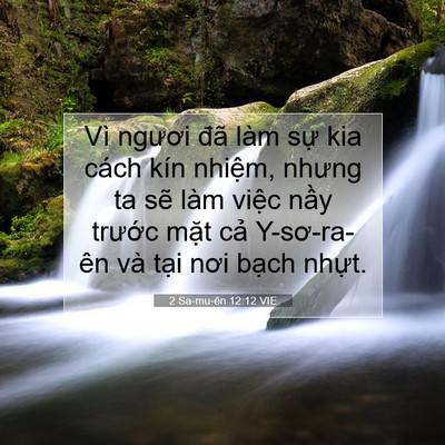 Picture 07 - 2 Sa-mu-ên 12:12 VIE - Vì ngươi đã làm sự kia cách kín - Bible Verse Picture