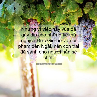 Picture 07 - 2 Sa-mu-ên 12:14 VIE - Nhưng vì việc nầy vua đã gây dịp cho - Bible Verse Picture