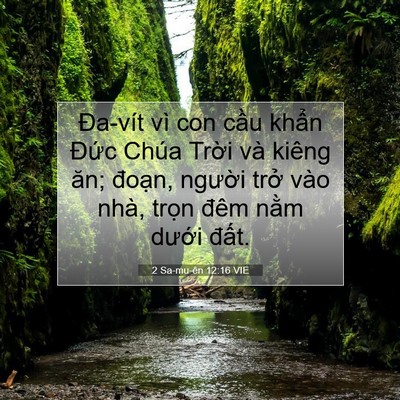 Picture 07 - 2 Sa-mu-ên 12:16 VIE - Đa-vít vì con cầu khẩn Đức Chúa Trời - Bible Verse Picture