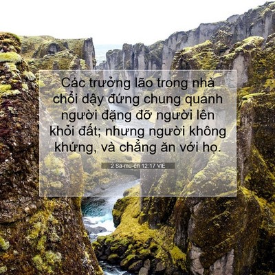 Picture 07 - 2 Sa-mu-ên 12:17 VIE - Các trưởng lão trong nhà chổi dậy - Bible Verse Picture