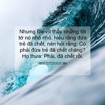 Picture 07 - 2 Sa-mu-ên 12:19 VIE - Nhưng Đa-vít thấy những tôi tớ nó - Bible Verse Picture