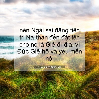 Picture 07 - 2 Sa-mu-ên 12:25 VIE - nên Ngài sai đấng tiên tri Na-than đến - Bible Verse Picture