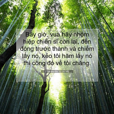 Picture 07 - 2 Sa-mu-ên 12:28 VIE - Bây giờ, vua hãy nhóm hiệp chiến sĩ - Bible Verse Picture