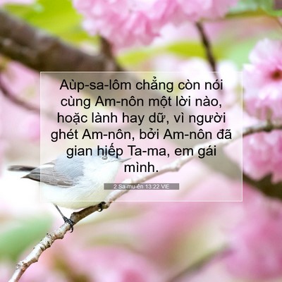 Picture 07 - 2 Sa-mu-ên 13:22 VIE - Aùp-sa-lôm chẳng còn nói cùng Am-nôn - Bible Verse Picture