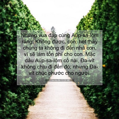 Picture 07 - 2 Sa-mu-ên 13:25 VIE - Nhưng vua đáp cùng Aùp-sa-lôm rằng: - Bible Verse Picture
