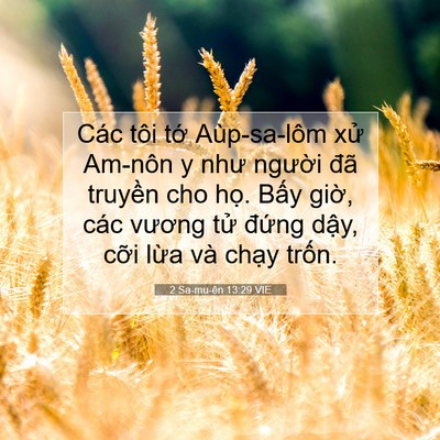 Picture 07 - 2 Sa-mu-ên 13:29 VIE - Các tôi tớ Aùp-sa-lôm xử Am-nôn y như - Bible Verse Picture