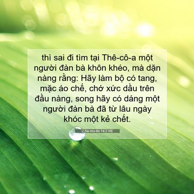 Picture 07 - 2 Sa-mu-ên 14:2 VIE - thì sai đi tìm tại Thê-cô-a một người - Bible Verse Picture