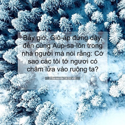 Picture 07 - 2 Sa-mu-ên 14:31 VIE - Bấy giờ, Giô-áp đứng dậy, đến cùng - Bible Verse Picture