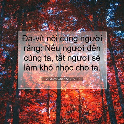 Picture 07 - 2 Sa-mu-ên 15:33 VIE - Đa-vít nói cùng người rằng: Nếu - Bible Verse Picture