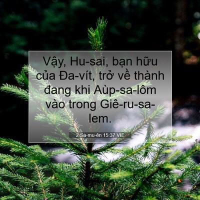 Picture 07 - 2 Sa-mu-ên 15:37 VIE - Vậy, Hu-sai, bạn hữu của Đa-vít, trở - Bible Verse Picture