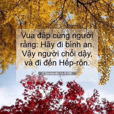 Picture 07 - 2 Sa-mu-ên 15:9 VIE - Vua đáp cùng người rằng: Hãy đi bình - Bible Verse Picture