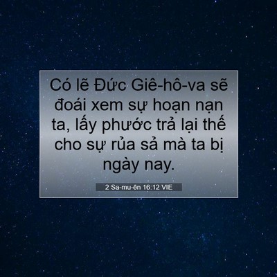 Picture 07 - 2 Sa-mu-ên 16:12 VIE - Có lẽ Đức Giê-hô-va sẽ đoái xem sự - Bible Verse Picture