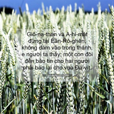 Picture 07 - 2 Sa-mu-ên 17:17 VIE - Giô-na-than và A-hi-mát đứng tại - Bible Verse Picture