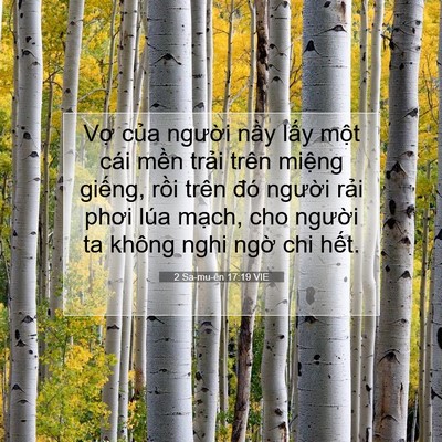 Picture 07 - 2 Sa-mu-ên 17:19 VIE - Vợ của người nầy lấy một cái mền - Bible Verse Picture