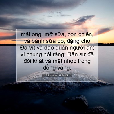 Picture 07 - 2 Sa-mu-ên 17:29 VIE - mật ong, mỡ sữa, con chiên, và bánh - Bible Verse Picture