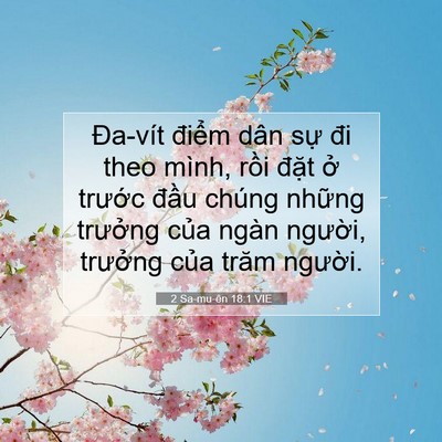 Picture 07 - 2 Sa-mu-ên 18:1 VIE - Đa-vít điểm dân sự đi theo mình, rồi - Bible Verse Picture