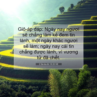 Picture 07 - 2 Sa-mu-ên 18:20 VIE - Giô-áp đáp: Ngày nay ngươi sẽ chẳng - Bible Verse Picture
