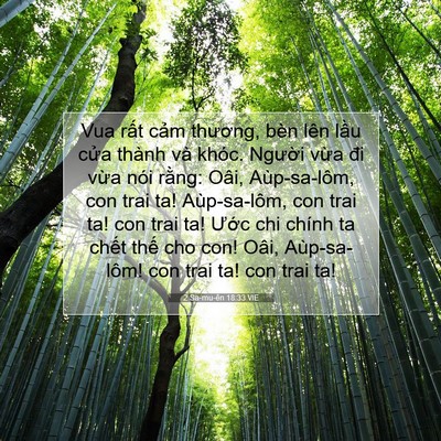 Picture 07 - 2 Sa-mu-ên 18:33 VIE - Vua rất cảm thương, bèn lên lầu cửa - Bible Verse Picture