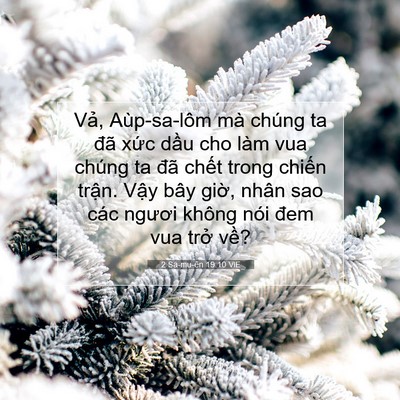 Picture 07 - 2 Sa-mu-ên 19:10 VIE - Vả, Aùp-sa-lôm mà chúng ta đã xức dầu - Bible Verse Picture