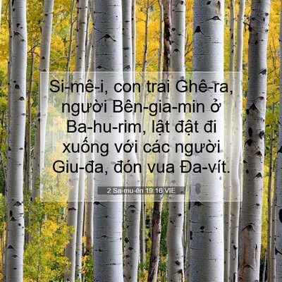 Picture 07 - 2 Sa-mu-ên 19:16 VIE - Si-mê-i, con trai Ghê-ra, người Bên-gia-min - Bible Verse Picture