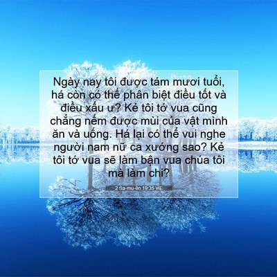 Picture 07 - 2 Sa-mu-ên 19:35 VIE - Ngày nay tôi được tám mươi tuổi, há - Bible Verse Picture