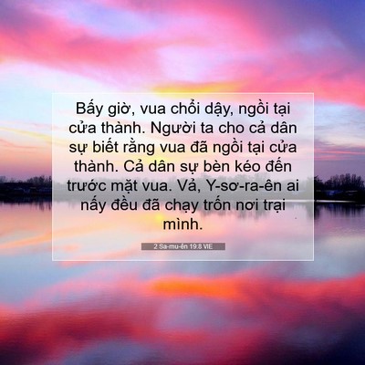 Picture 07 - 2 Sa-mu-ên 19:8 VIE - Bấy giờ, vua chổi dậy, ngồi tại cửa - Bible Verse Picture