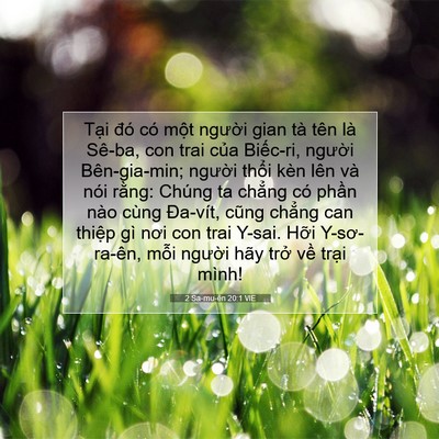 Picture 07 - 2 Sa-mu-ên 20:1 VIE - Tại đó có một người gian tà tên là - Bible Verse Picture
