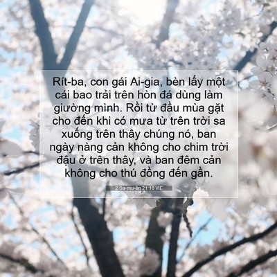 Picture 07 - 2 Sa-mu-ên 21:10 VIE - Rít-ba, con gái Ai-gia, bèn lấy một cái - Bible Verse Picture