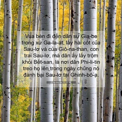 Picture 07 - 2 Sa-mu-ên 21:12 VIE - Vua bèn đi đến dân sự Gia-be trong xứ - Bible Verse Picture