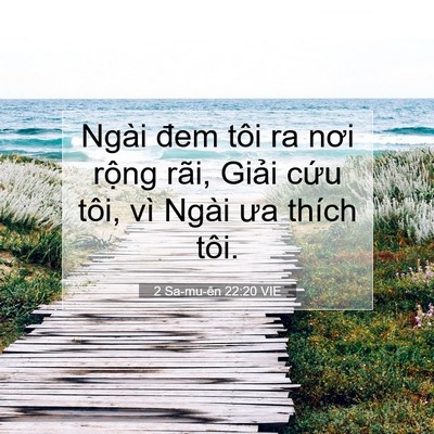 Picture 07 - 2 Sa-mu-ên 22:20 VIE - Ngài đem tôi ra nơi rộng rãi, Giải cứu - Bible Verse Picture