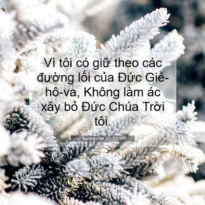 Picture 07 - 2 Sa-mu-ên 22:22 VIE - Vì tôi có giữ theo các đường lối - Bible Verse Picture