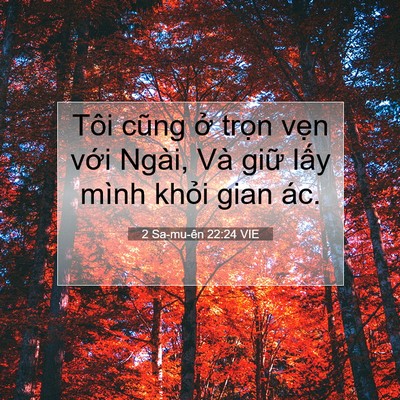 Picture 07 - 2 Sa-mu-ên 22:24 VIE - Tôi cũng ở trọn vẹn với Ngài, Và - Bible Verse Picture
