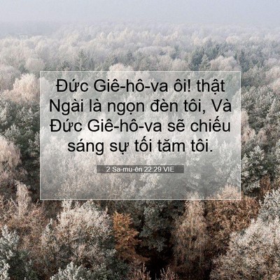 Picture 07 - 2 Sa-mu-ên 22:29 VIE - Đức Giê-hô-va ôi! thật Ngài là ngọn - Bible Verse Picture