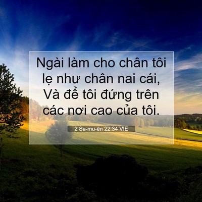 Picture 07 - 2 Sa-mu-ên 22:34 VIE - Ngài làm cho chân tôi lẹ như chân nai - Bible Verse Picture