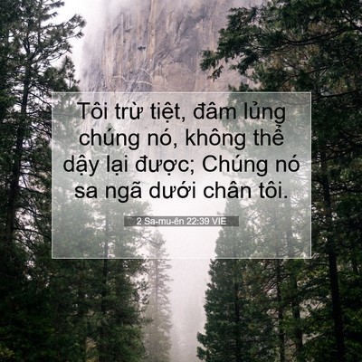 Picture 07 - 2 Sa-mu-ên 22:39 VIE - Tôi trừ tiệt, đâm lủng chúng nó, - Bible Verse Picture