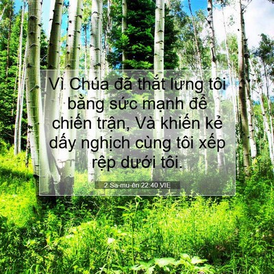Picture 07 - 2 Sa-mu-ên 22:40 VIE - Vì Chúa đã thắt lưng tôi bằng sức - Bible Verse Picture
