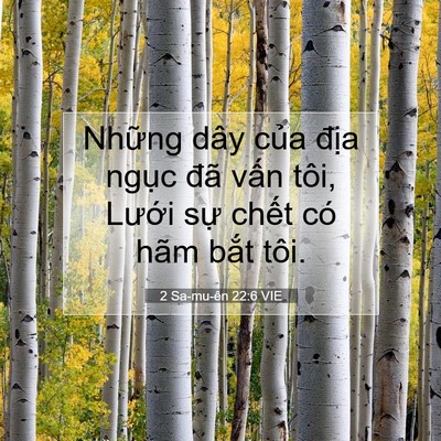 Picture 07 - 2 Sa-mu-ên 22:6 VIE - Những dây của địa ngục đã vấn tôi, - Bible Verse Picture