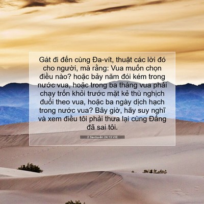 Picture 07 - 2 Sa-mu-ên 24:13 VIE - Gát đi đến cùng Đa-vít, thuật các - Bible Verse Picture