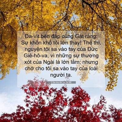 Picture 07 - 2 Sa-mu-ên 24:14 VIE - Đa-vít bèn đáp cùng Gát rằng: Sự - Bible Verse Picture