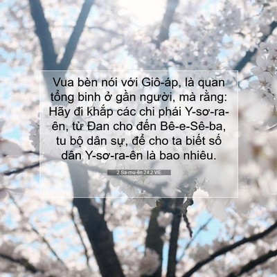 Picture 07 - 2 Sa-mu-ên 24:2 VIE - Vua bèn nói với Giô-áp, là quan tổng - Bible Verse Picture
