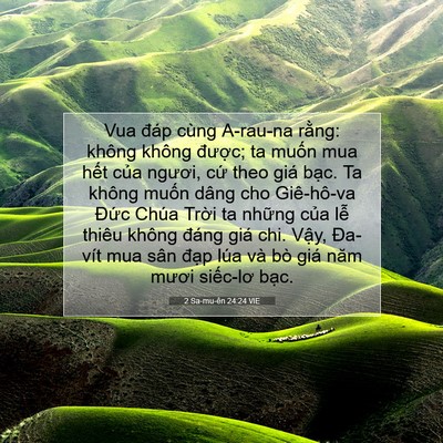Picture 07 - 2 Sa-mu-ên 24:24 VIE - Vua đáp cùng A-rau-na rằng: không không - Bible Verse Picture