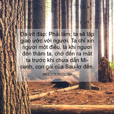 Picture 07 - 2 Sa-mu-ên 3:13 VIE - Đa-vít đáp: Phải lắm; ta sẽ lập giao - Bible Verse Picture