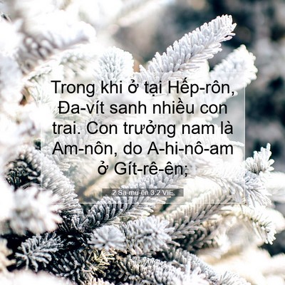 Picture 07 - 2 Sa-mu-ên 3:2 VIE - Trong khi ở tại Hếp-rôn, Đa-vít sanh - Bible Verse Picture