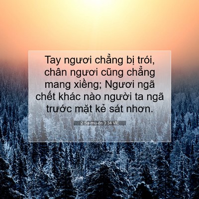 Picture 07 - 2 Sa-mu-ên 3:34 VIE - Tay ngươi chẳng bị trói, chân ngươi - Bible Verse Picture