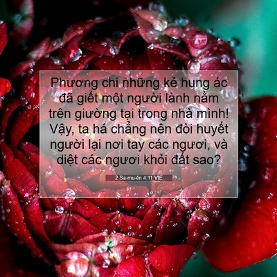 Picture 07 - 2 Sa-mu-ên 4:11 VIE - Phương chi những kẻ hung ác đã giết - Bible Verse Picture